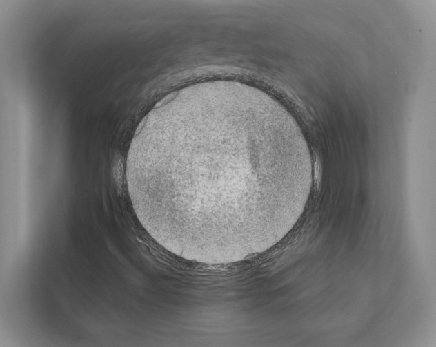 X0000111601492200908270958
