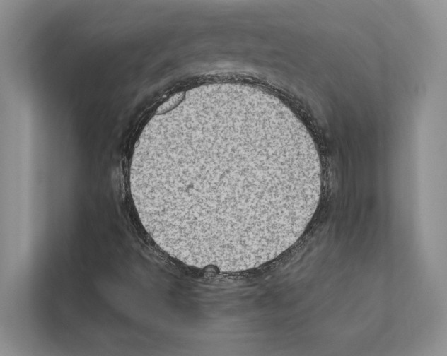 X0000111601493200908270958