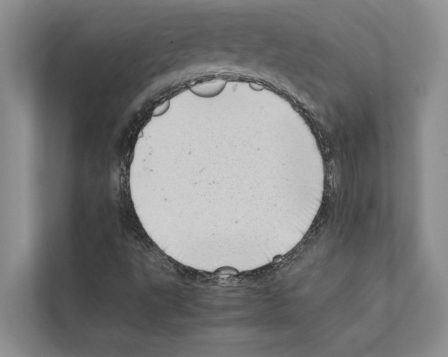 X0000111601495200908270958