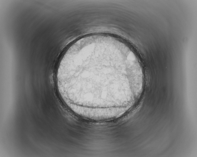 X0000111601497200908270958