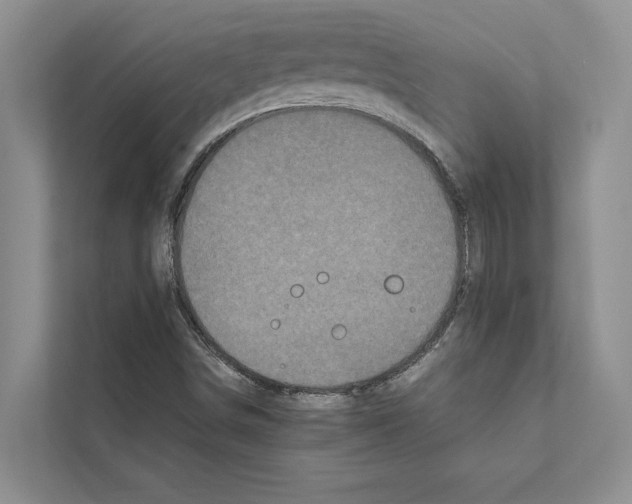X0000111601498200908270958