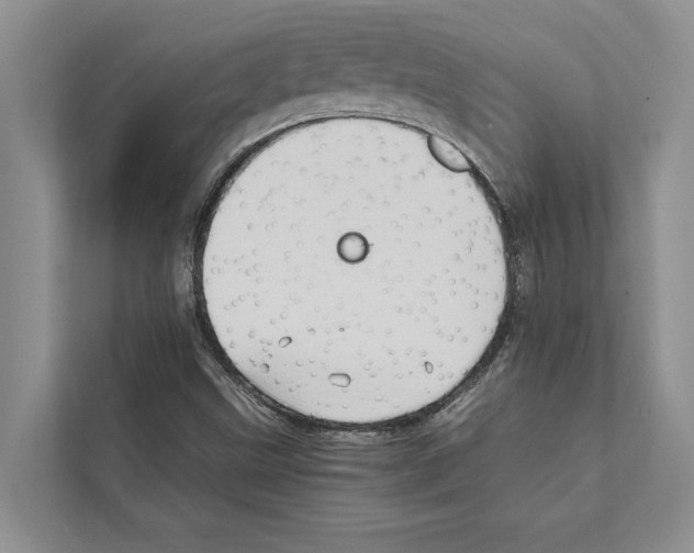 X0000111601499200908270958