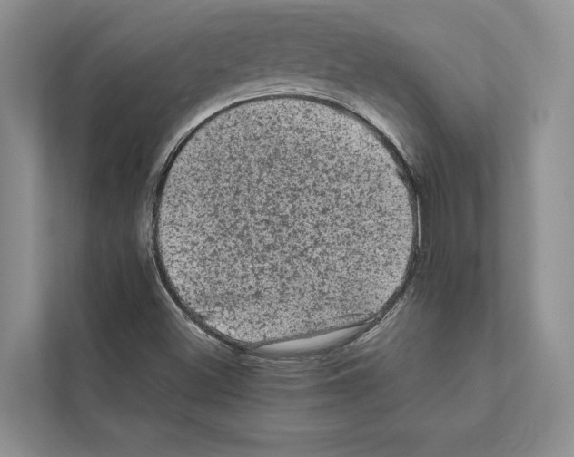 X0000111601500200908270958