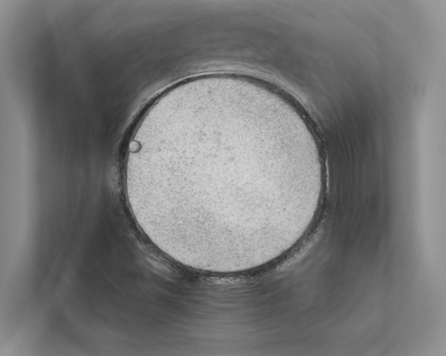 X0000111601501200908270958
