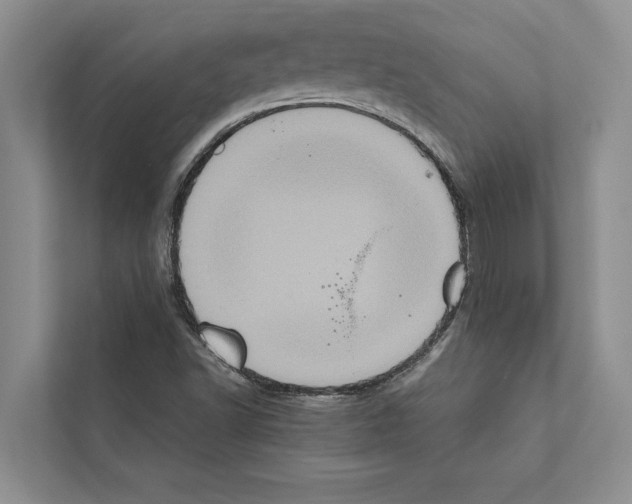 X0000111601502200908270958