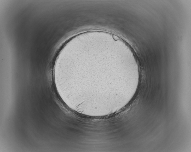 X0000111601503200908270958
