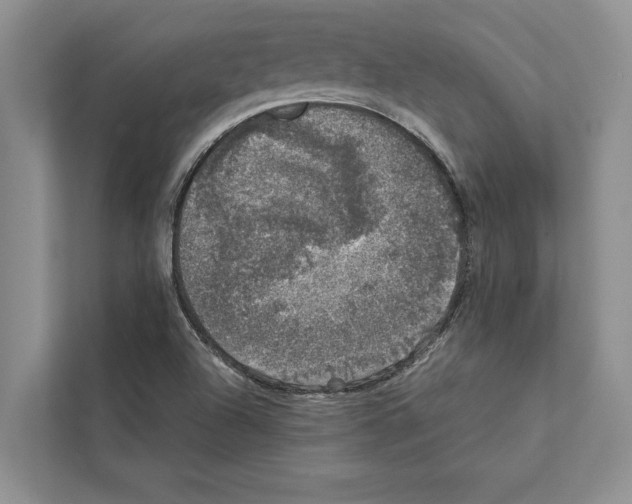 X0000111601504200908270958