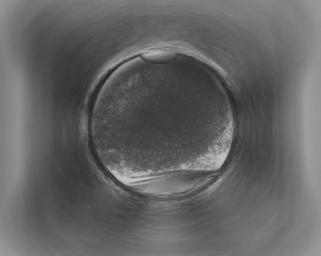 X0000111601506200908270958