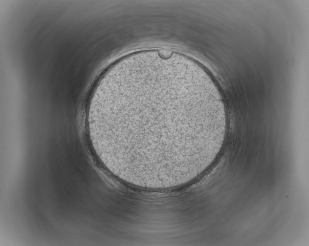 X0000111601507200908270958