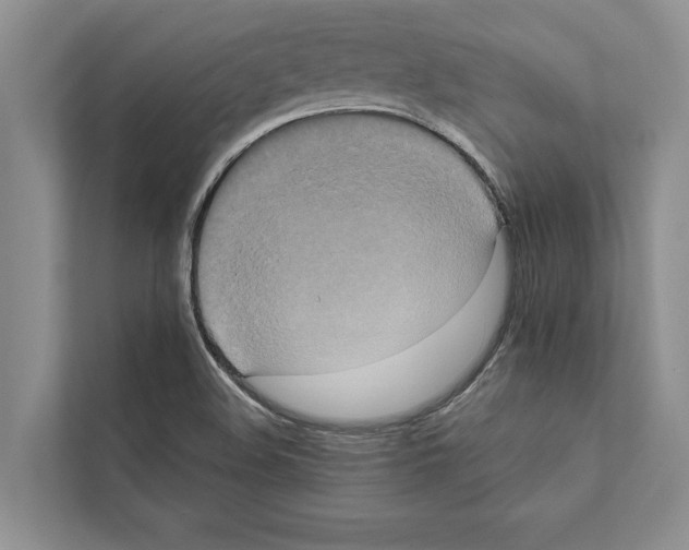 X0000111601508200908270958