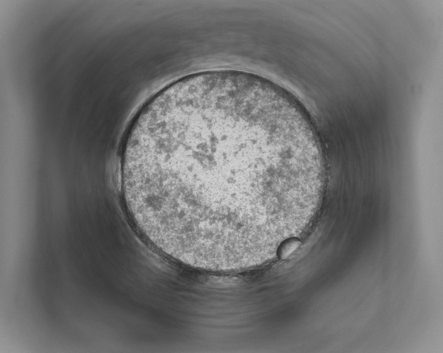X0000111601509200908270958