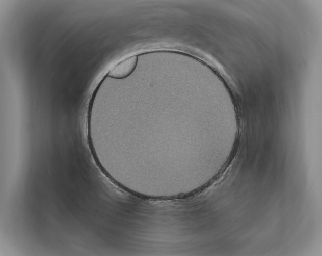 X0000111601512200908270958