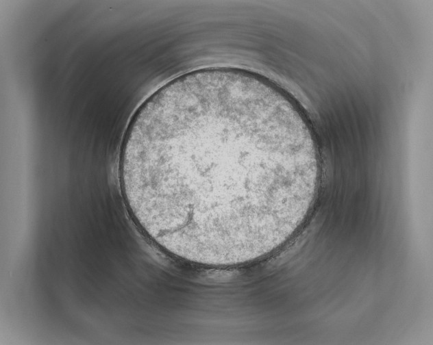 X0000111601513200908270958