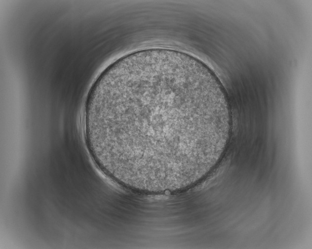 X0000111601515200908270958