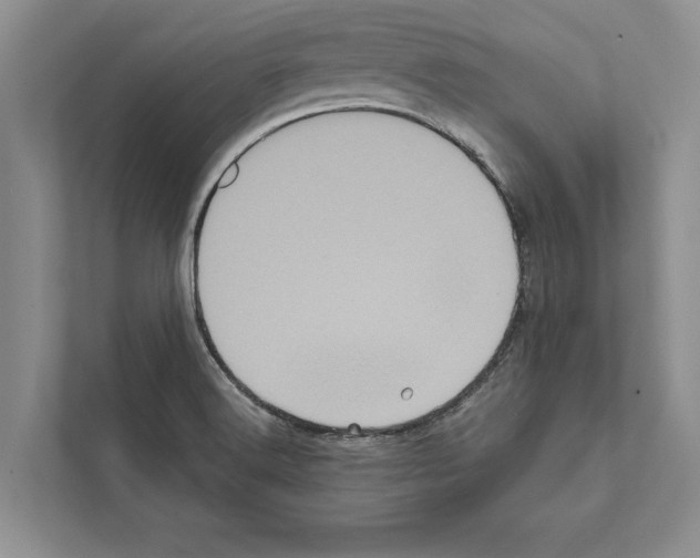 X0000111601516200908270958