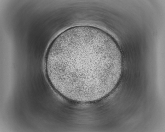 X0000111601517200908270958