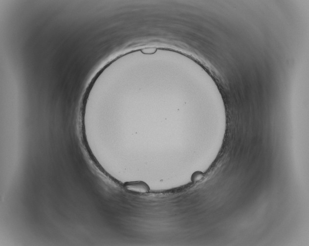 X0000111601518200908270958