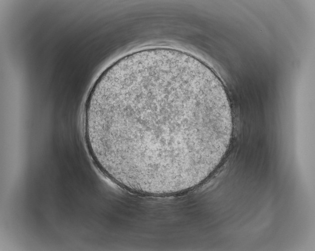 X0000111601519200908270958