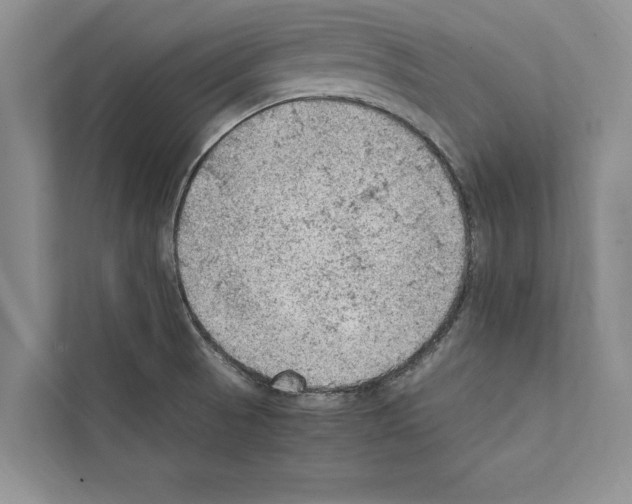 X0000111601521200908270958