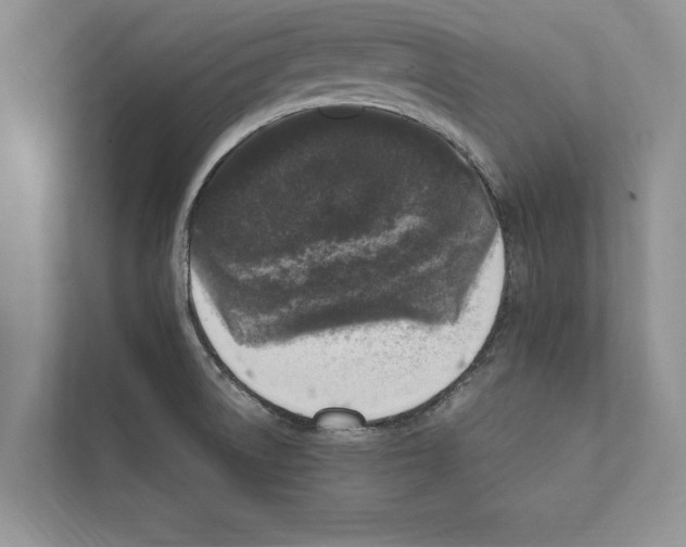 X0000111601522200908270958