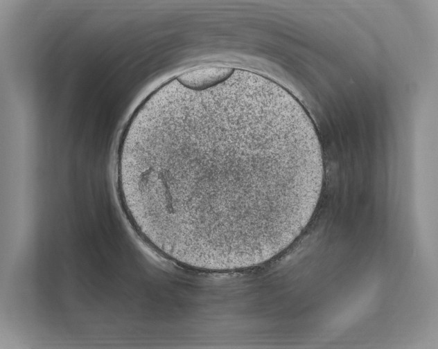 X0000111601523200908270958