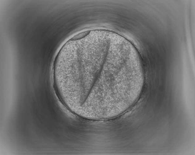 X0000111601524200908270958