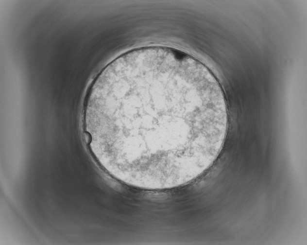 X0000111601525200908270958