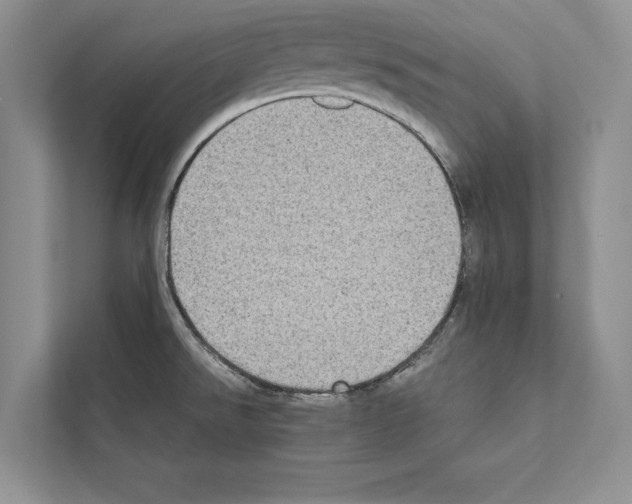 X0000111601526200908270958