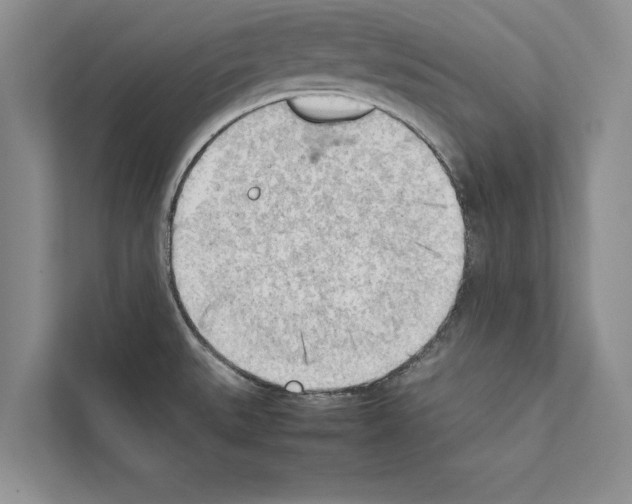 X0000111601527200908270958