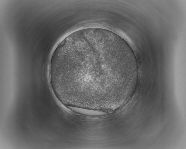 X0000111601528200908270958