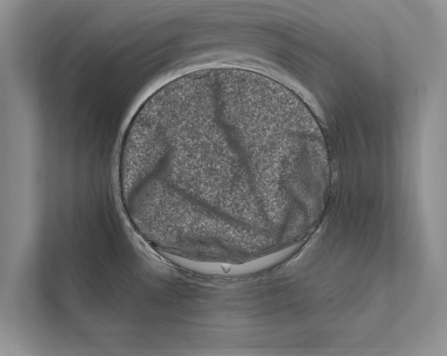 X0000111601530200908270958