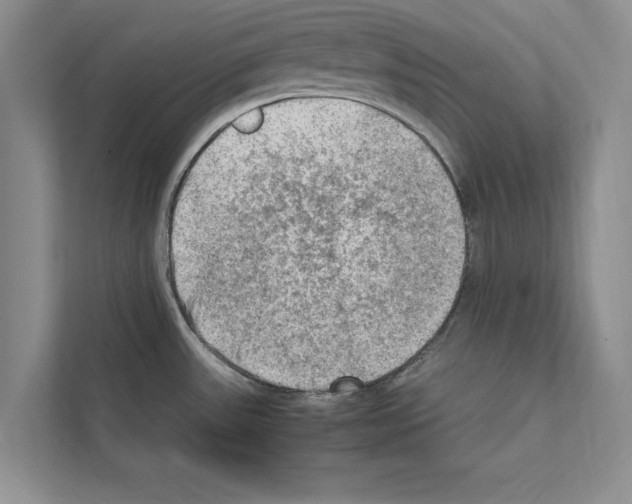 X0000111601531200908270958
