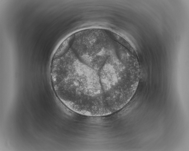 X0000111601532200908270958