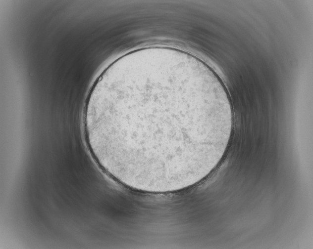 X0000111601533200908270958