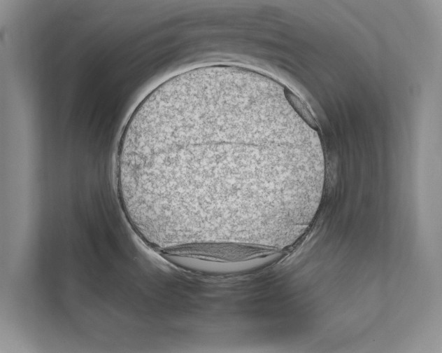 X0000111601535200908270958