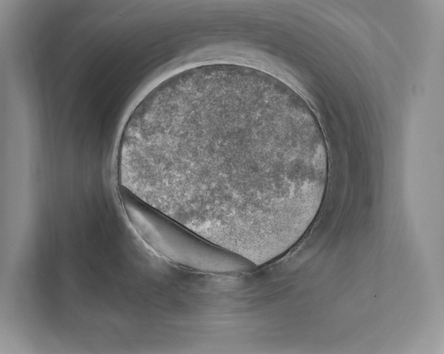 X0000111601536200908270958
