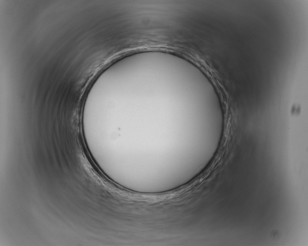 X0000111610002200907171051
