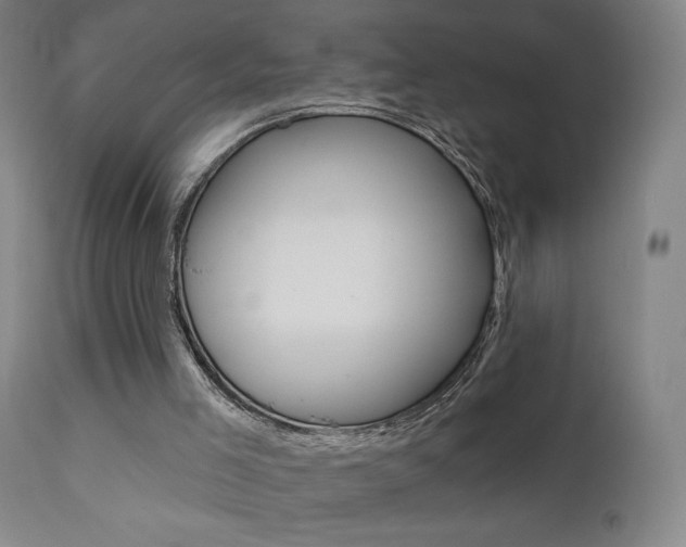 X0000111610005200907171051
