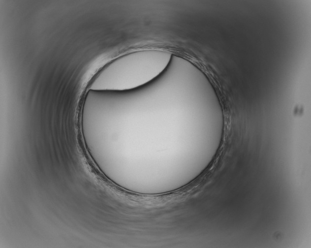 X0000111610006200907171051
