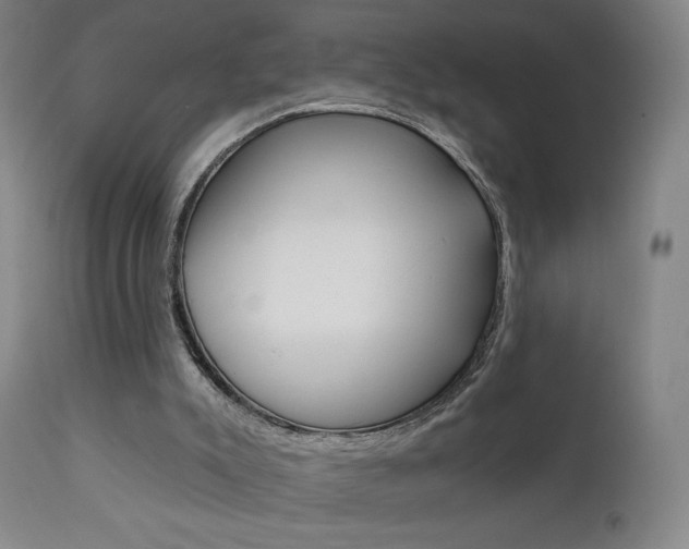X0000111610007200907171051