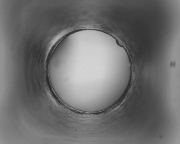 X0000111610008200907171051