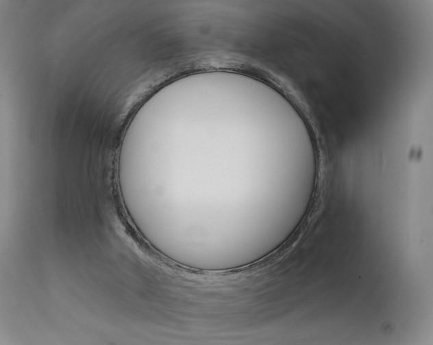 X0000111610010200907171051