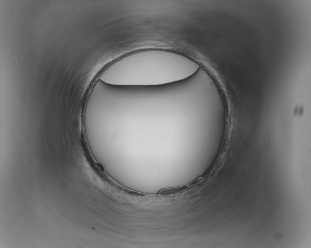 X0000111610011200907171051