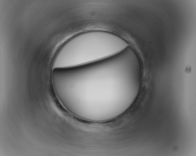 X0000111610012200907171051