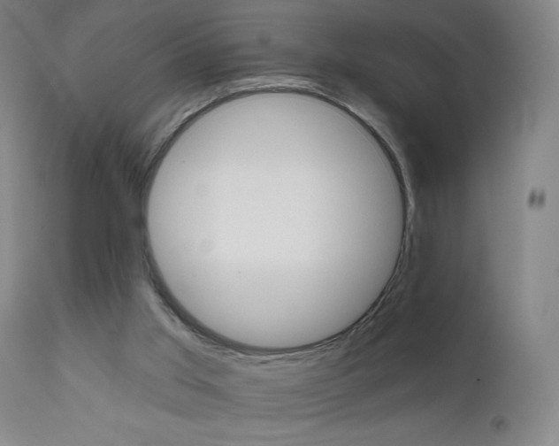 X0000111610013200907171051