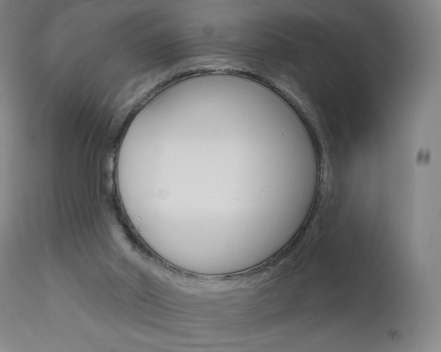 X0000111610014200907171050