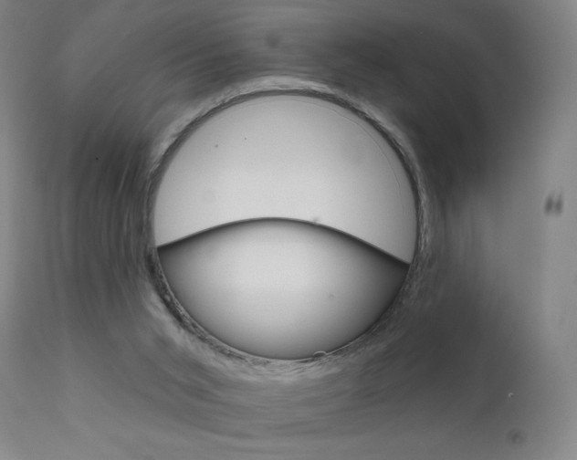 X0000111610015200907171050