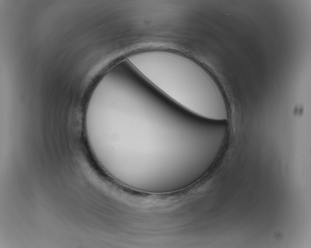 X0000111610016200907171050