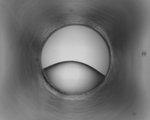 X0000111610017200907171050