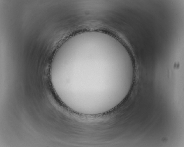X0000111610018200907171050